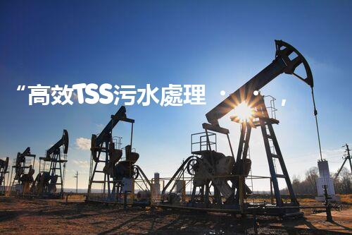 “高效TSS污水處理，守護碧水藍天新篇章”